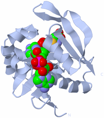 Image Biological Unit 1