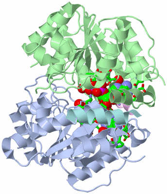 Image Biol. Unit 1 - sites