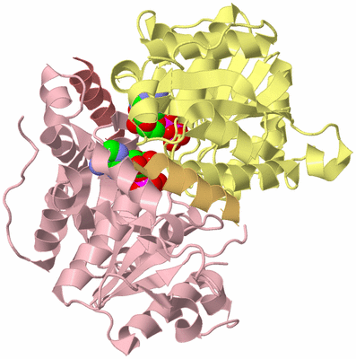 Image Biological Unit 2