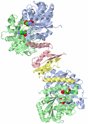 Image Biological Unit 1