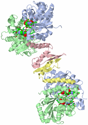 Image Biol. Unit 1 - sites