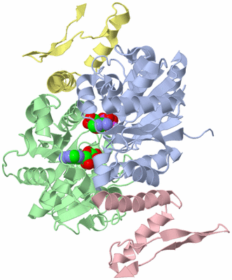 Image Biological Unit 2