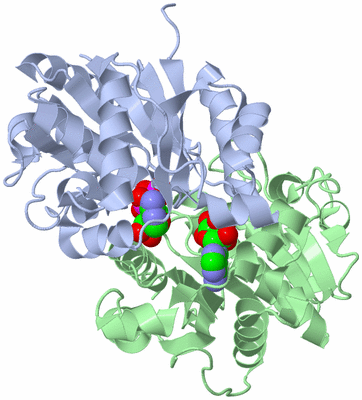 Image Biological Unit 3