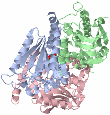 Image Asym./Biol. Unit