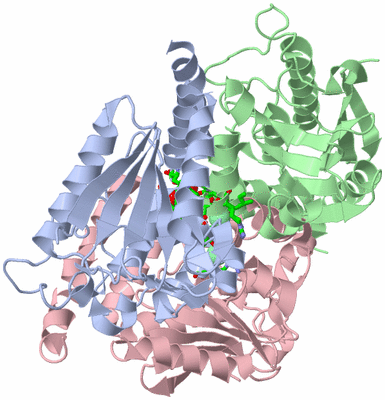 Image Asym./Biol. Unit - sites