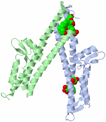 Image Biological Unit 3