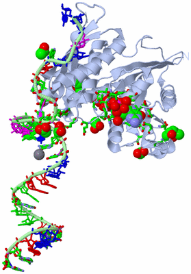 Image Biol. Unit 1 - sites