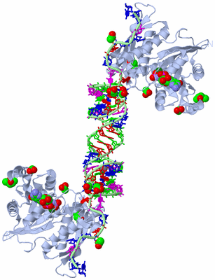 Image Biological Unit 2