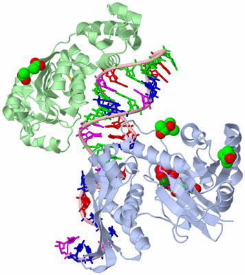 Image Asym./Biol. Unit