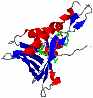 Image Asym. Unit - sites