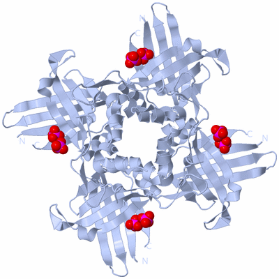 Image Biological Unit 1