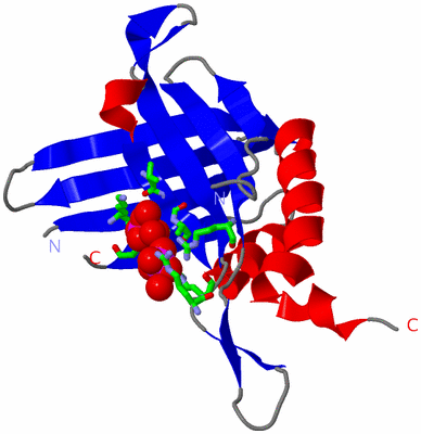 Image Asym. Unit - sites