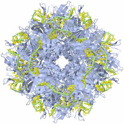 Image Biological Unit 2
