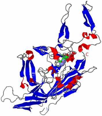 Image Asym. Unit - sites