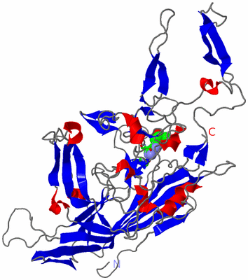 Image Asym. Unit - sites