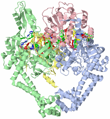 Image Asym./Biol. Unit