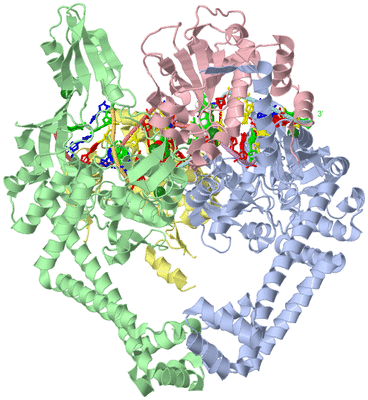 Image Asym./Biol. Unit