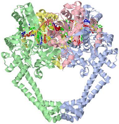 Image Asym./Biol. Unit