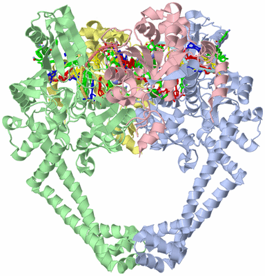 Image Asym./Biol. Unit - sites