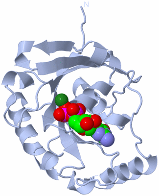 Image Biological Unit 1