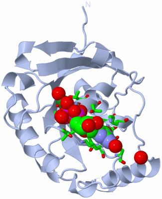 Image Biol. Unit 1 - sites