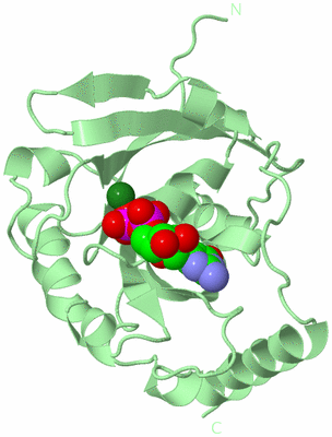 Image Biological Unit 2