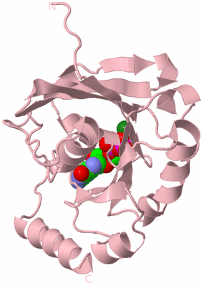 Image Biological Unit 3