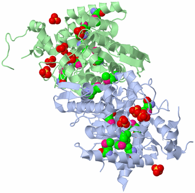 Image Biological Unit 2