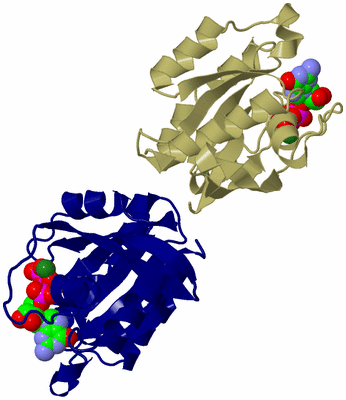 Image Asym./Biol. Unit