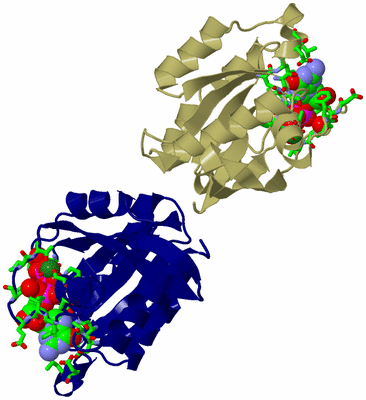 Image Asym./Biol. Unit - sites