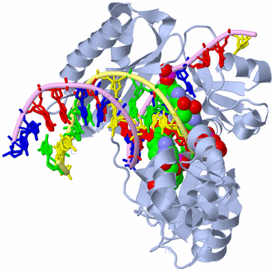 Image Biological Unit 1