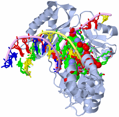 Image Biol. Unit 1 - sites