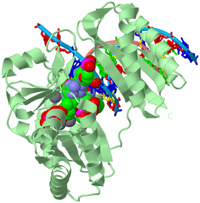 Image Biological Unit 2