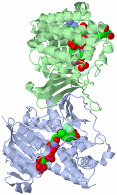 Image Asym./Biol. Unit