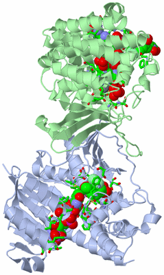 Image Asym./Biol. Unit - sites