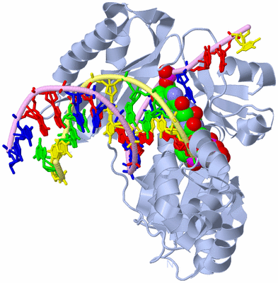 Image Biological Unit 1