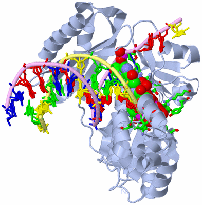 Image Biol. Unit 1 - sites