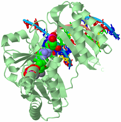 Image Biological Unit 2