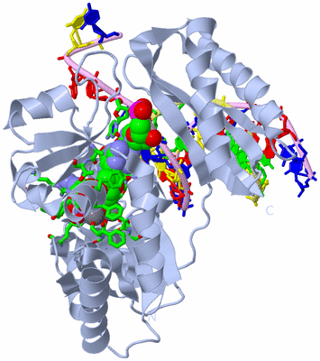 Image Biol. Unit 1 - sites