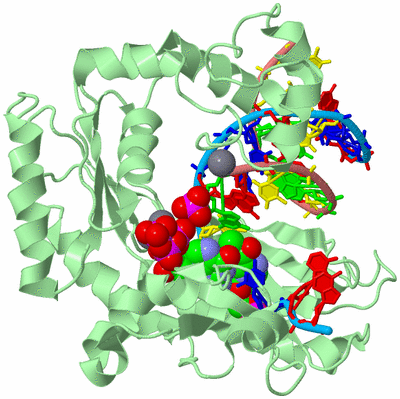 Image Biological Unit 2