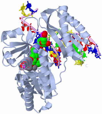 Image Biological Unit 1