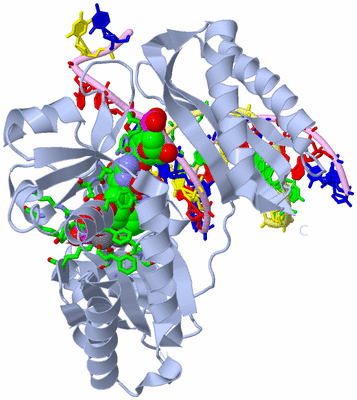 Image Biol. Unit 1 - sites