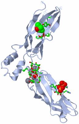 Image Biol. Unit 1 - sites