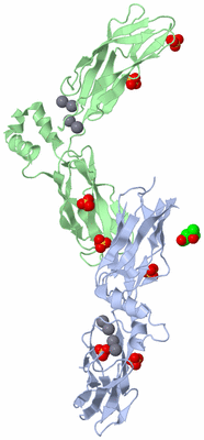 Image Biological Unit 3