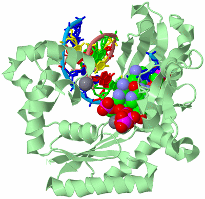 Image Biological Unit 2