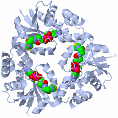 Image Biological Unit 2