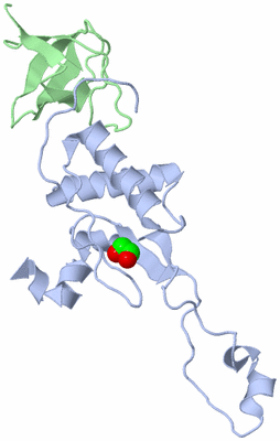 Image Biological Unit 1