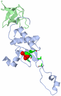 Image Biol. Unit 1 - sites