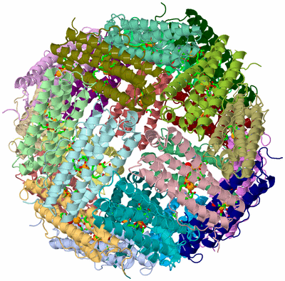 Image Asym./Biol. Unit - sites