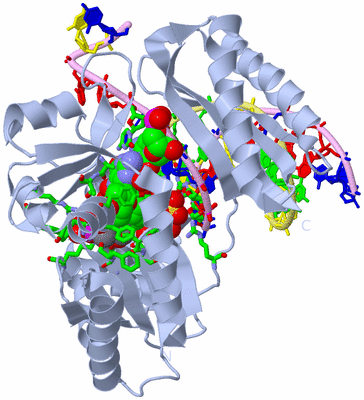 Image Biol. Unit 1 - sites